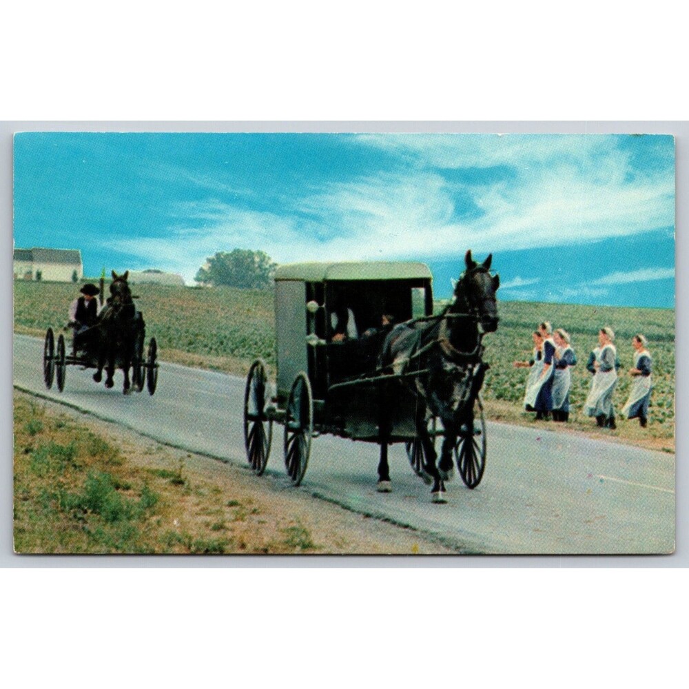 Vintage Postcard Amish Family Carriage & Courting Buggy Intercourse PA Tichnor